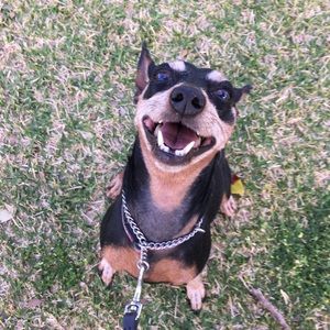 Meet your Posher, Akiteru